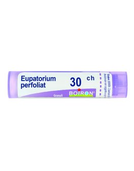 Eupatorium Perfoliatum Boiron 30CH Granuli - 1