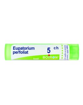 Eupatorium Perfoliatum Boiron 5CH Granuli - 1