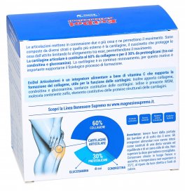 Evidol Articolazioni - Integratore di vitamina C, Collagene, MSM e Glucosamina - 2