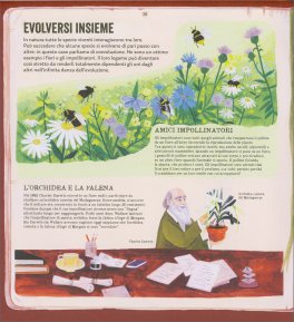 Evoluzione - Dall'Origine della Terra a Oggi — Libro - 4