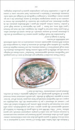 Evoluzione Rivoluzione Minerale — Libro - 4