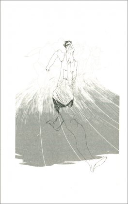 Evoluzioni — Libro - 3