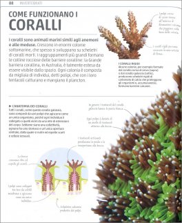 Explanatorium della Natura — Libro - 3