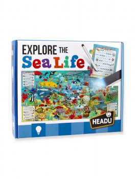 Explore the Sea Life - 1