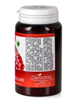 Extraven - Apparato Cardiovascolare - 2