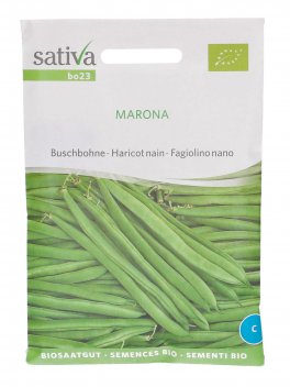 Semi di Fagiolino Nano Marona - 1