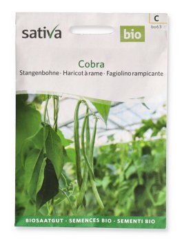 Fagiolino Rampicante Cobra - 1