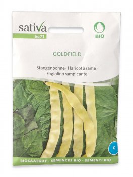 Semi di Fagiolino Rampicante Bio - Goldfield - 1