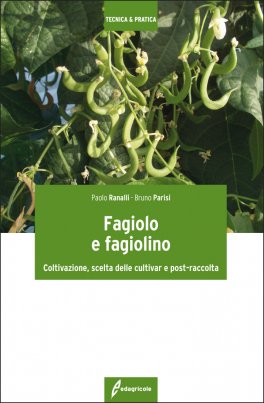 Fagiolo e Fagiolino — Libro - 1