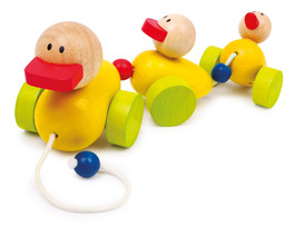 Famiglia d'Anatre da Tirare