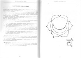 Far Esperienza con i Chakra — Libro - 3