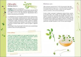 Fare e Usare i Germogli — Libro - 2