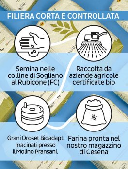Farina di Grano Tenero Tipo 2 - 1 Kg - 6