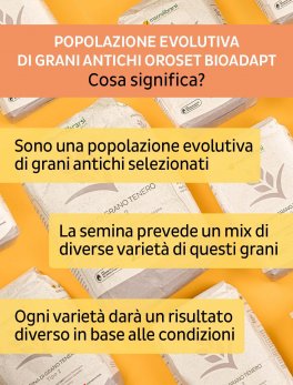 Farina di Grano Tenero Tipo 2 - 1 Kg - 7
