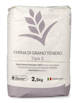 Farina di Grano Tenero - Tipo 2 - 1