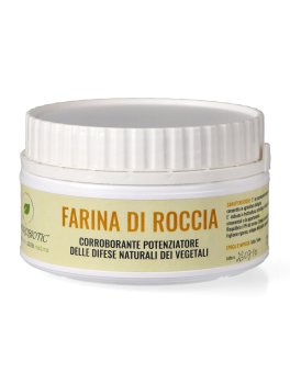 Farina di Roccia (Zeolite Clinoptilolite) - 1