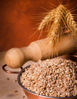 Farro Perlato Biologico - 2