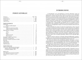Fauna D'Italia - Vol. LIII - Lepidoptera - Coleophoridae — Libro - 3