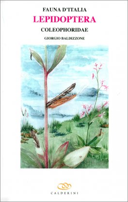 Fauna D'Italia - Vol. LIII - Lepidoptera - Coleophoridae — Libro - 1