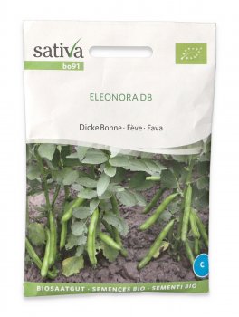 Semi di Fava Bio - Eleonora DB - 1