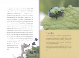 Favole in Bosco — Libro - 4