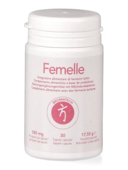 Femelle - 1