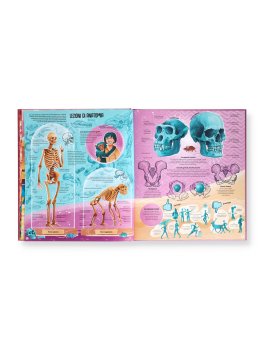 Femina Sapiens — Libro - 3