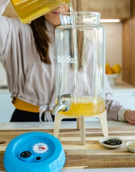 Fermentarore Kombucha - Azzurro - 8