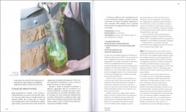 Fermenti — Libro - 3
