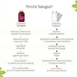 Ferro + B12 - 9