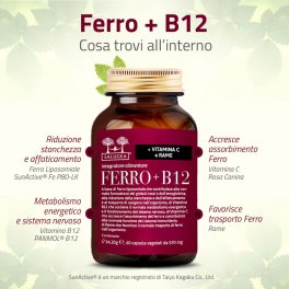 Ferro + B12 - 4