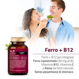 Ferro + B12 - 7