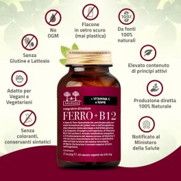 Ferro + B12 - 5