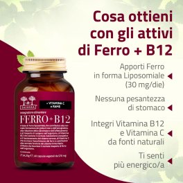 Ferro + B12 - 6
