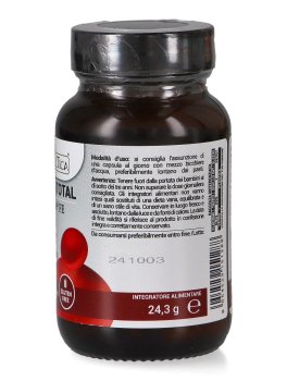 Ferro Total - 2