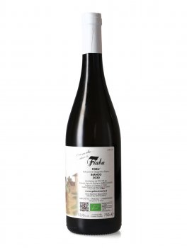Fiaba - Vino Bianco Bio - 2
