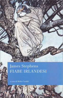 Fiabe Irlandesi — Libro - 1