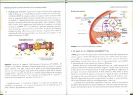 Fibromialgia — Libro - 3
