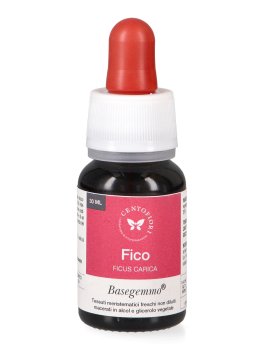 Fico - Basegemmo - 2
