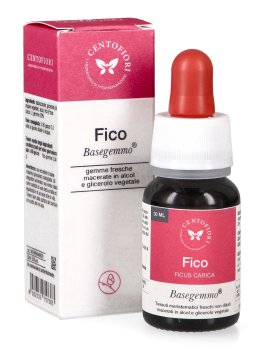 Fico - Basegemmo - 1