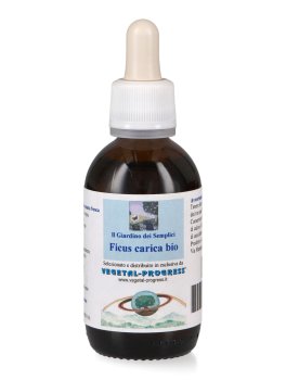 Ficus Carica - Fico Bio - Estratto Idrogliceroalcolico - 1
