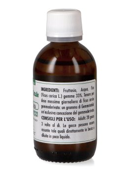 Ficus Carica - Gemmo Totale - 3