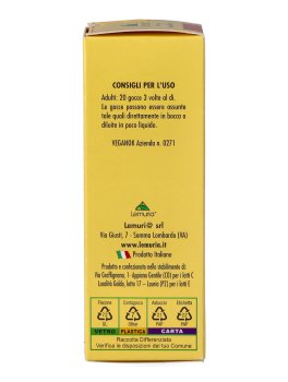 Ficus Carica - Gemmo Totale - 6