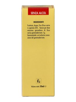 Ficus Carica - Gemmo Totale - 7