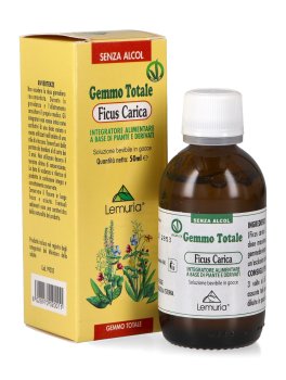 Ficus Carica - Gemmo Totale - 1