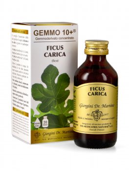 Ficus Carica Gemmoderivato Concentrato - Gemmo 10+ ® - 1