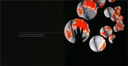 Filo Filo d'Ombra — Libro - 3