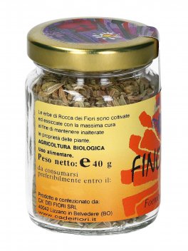 Finocchio - 2