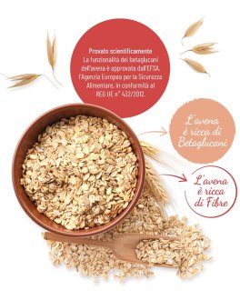 Fiocchi di Avena Integrali Bio - 3