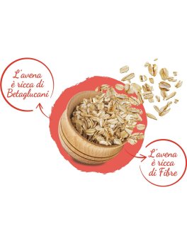 Fiocchi di Avena Integrali Bio - 4